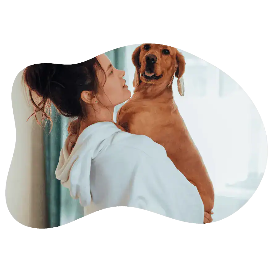 About PawGearHub - A warm, friendly moment with a beloved pet