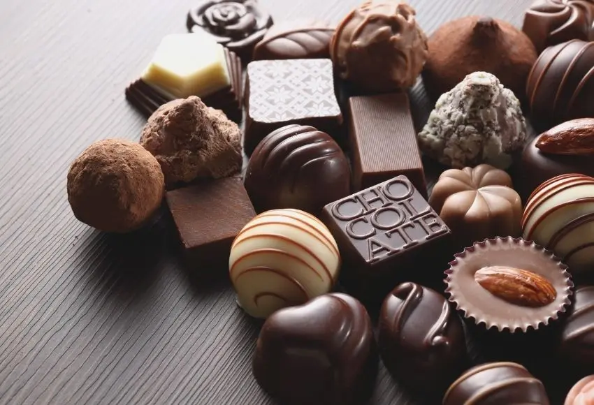 What Foods Are Toxic to Dogs